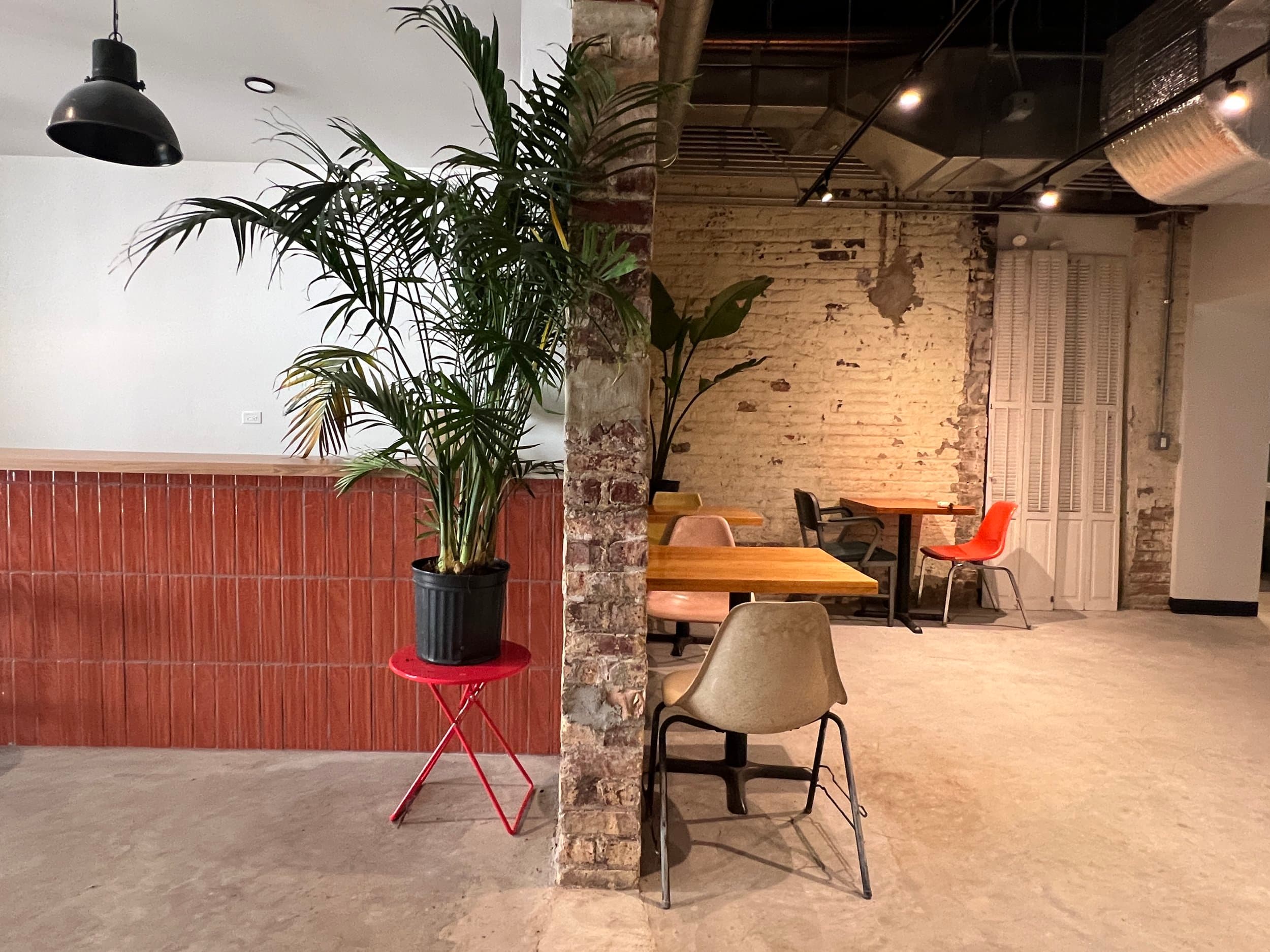 HAIBAYO interior with plants and seating